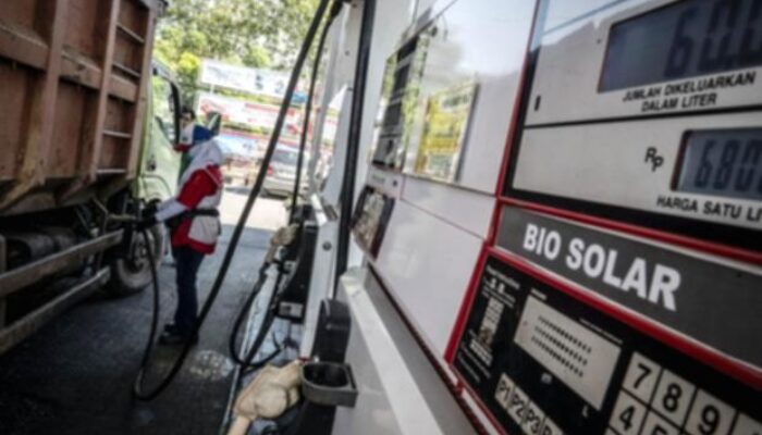 Peneliti UI Minta Pemerintah Kaji Ulang Skema Subsidi Biodiesel