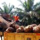 Logo PT Pinago Utama Tbk yang kini resmi berganti nama menjadi PT AEP Pinago Plantations Tbk.