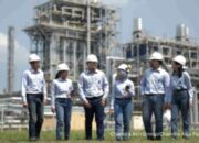 Rekomendasi Saham TPIA, MBMA, dan BMRI untuk Perdagangan Kamis 16 Juli