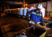 Grafik pergerakan saham dan simbol mata uang dolar AS dengan latar belakang bursa efek