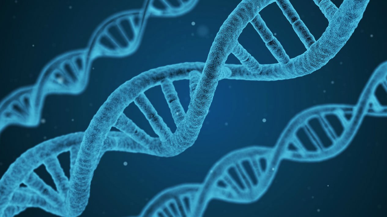 ilmuwan-teliti-variasi-dna-untuk-mengungkap-hubungan-genetik-dengan-perilaku-makan