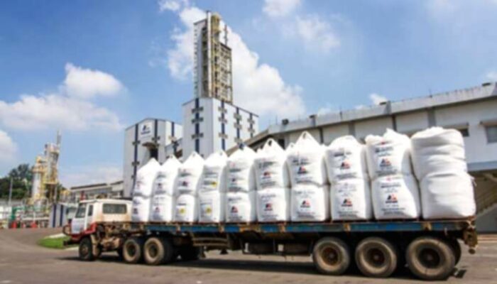 Ancora Indonesia Resources Raih Kontrak Tambang Senilai US$ 60 Juta