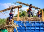 Menteri Pertanian Andi Amran Sulaiman memberikan keterangan terkait kewajiban industri gula memiliki kebun sendiri.