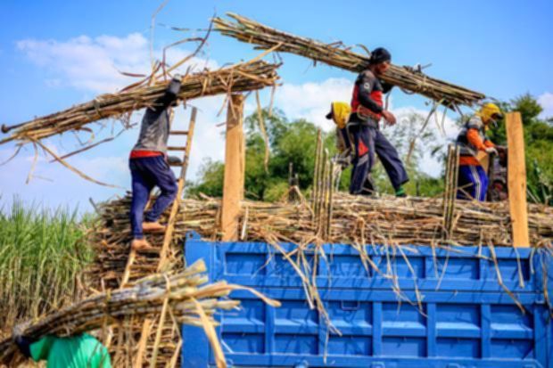 Menteri Pertanian Andi Amran Sulaiman memberikan keterangan terkait kewajiban industri gula memiliki kebun sendiri.