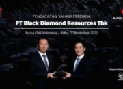 Grafik pergerakan harga saham PT Black Diamond Resources Tbk di Bursa Efek Indonesia