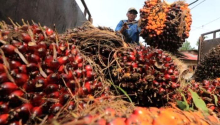 Sektor yang Mendulang Untung Saat Nilai Tukar Rupiah Melemah
