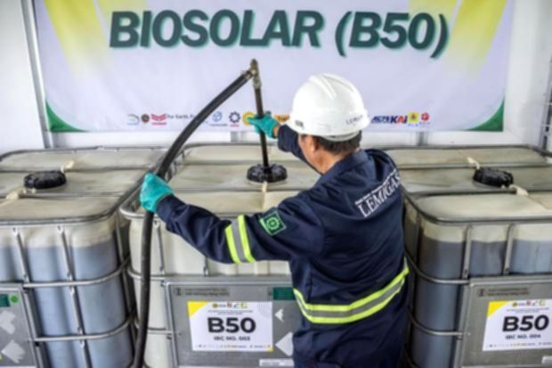 Ilustrasi tumpukan buah kelapa sawit di perkebunan untuk bahan baku biodiesel