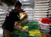 Badan Pangan usut 40 merek beras fortifikasi, uji lebih dari 100 sampel