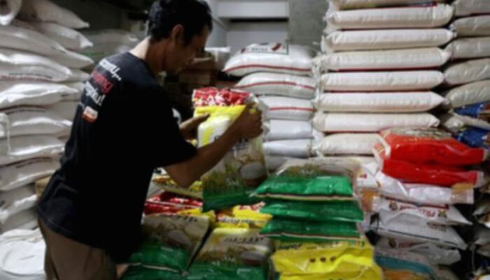 Badan Pangan usut 40 merek beras fortifikasi, uji lebih dari 100 sampel