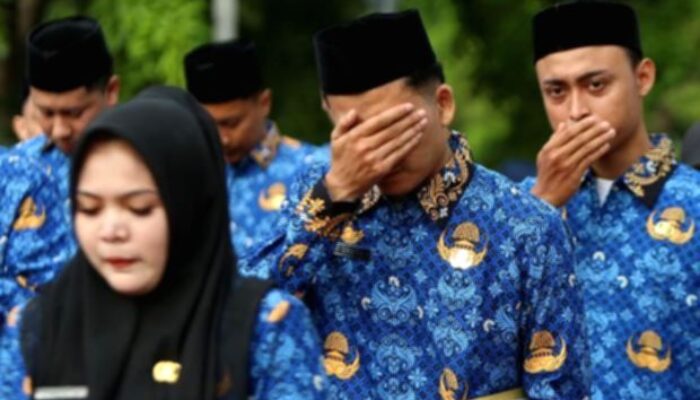 Pemerintah Gelontorkan Rp18,9 Triliun untuk Bantu Belanja Pegawai 546 Pemda