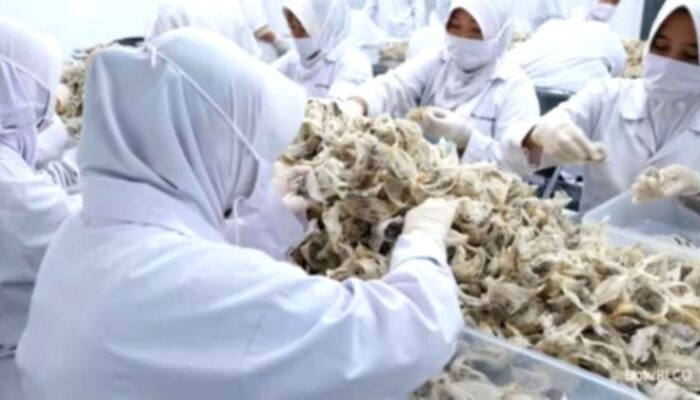 Laba Bersih Abadi Lestari (RLCO) Naik 13,39% di Semester I 2026