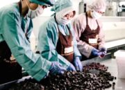 Papan nama PT Wahana Interfood Nusantara Tbk di kantor pusat perusahaan