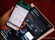Grafik pertumbuhan jumlah investor pasar modal Indonesia yang mencapai 30 juta SID pada Agustus 2026.